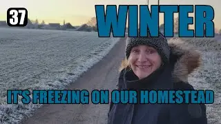 A Winter Wonderland and a Close Call - ep37 - 230 Year Old Farmhouse Renovation