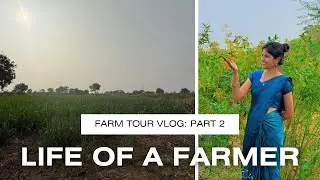 शेतात धमाल | गौर्‍या वेचल्या, डाळ-बाटी केली | Farm Vlog Part 2