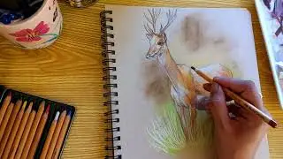 The magic of drawing Wildlife art of swamp deer with antlers /Deer drawing step by step