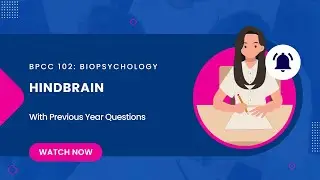 Hindbrain | BPCC 102 | Biopsychology | IGNOU