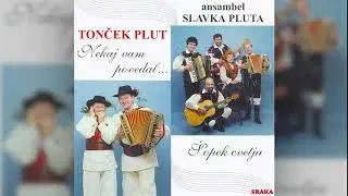 Ansambel Slavka Pluta - Mirna gora