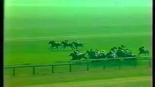 1980 1,000 Guineas Quick As Lightning + Replay