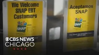 Federal judge orders Trump to fund SNAP with contingency funds