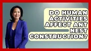 Do Human Activities Affect Ant Nest Construction? - Reptilian Wonders