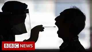 Coronavirus: Hong Kong on verge of 'large-scale' outbreak, says Carrie Lam - BBC News
