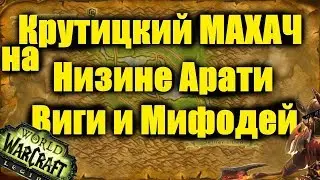 Крутой МАХАЧ на Низине Арати / Виги и Mifodey WoW Легион