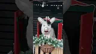 Santa's reindeer at garden centre