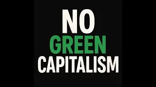 Climate Crisis & Eco-Anarchism &mdash; Can Capitalism Ever Be Green? (Part 21)
