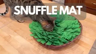 How a Snuffle Mat Helps Relieve Stress for Cats (and Dogs Too)