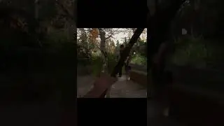 AKM vs BOW miscreated