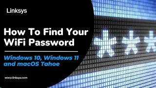 Как найти пароль от Wi-Fi (Windows 10, Windows 11 и macOS Tahoe)