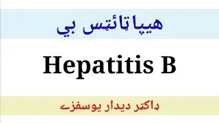 Why Hepatitis B spread more easily (pashto)  د هېپټايټس بي زيړي نۀ مونږ ځان څنګ بچ ساتلے شو