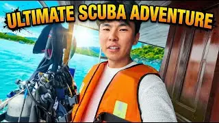 🇻🇳 Scuba Diving Vietnam Was NOT What I Expected&hellip; 🤿