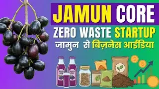 The Jamun Core