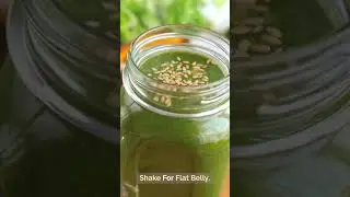 Best Weight Loss Shake In The US