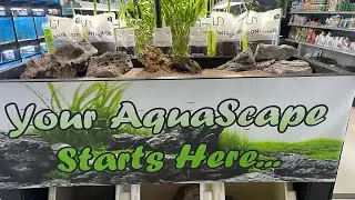 Unboxing Live Aquarium Plants from UNS (Ultum Nature System)