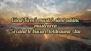 Tu nu pleci niciodată de la mine || NEGATIV cu versuri