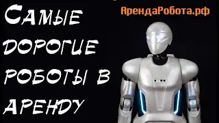 Топ 10 самых дорогих арендных роботов