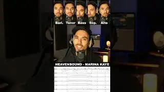 Heavenboud - Marina Kaye A Cappella Cover #acapella #MarinaKaye #harmony #music