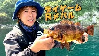 【メバル】デイゲーム尺超え！地形を読みリアクションで食わせる本気のメバリング【ライトゲーム】