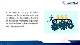Regímenes tributarios 10/12