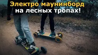 Тестим борды на лесных тропинках!