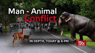 Teaser - In Depth: Man-Animal Conflict | 6 pm