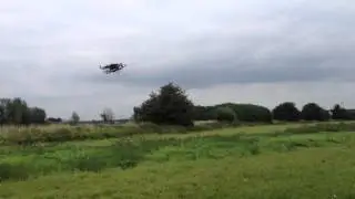 Ostrichcopter, winged master of the Serengeti