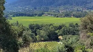 One minute flight over Napa Valley