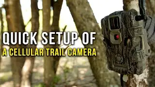 Как настроить камеру Stealth Cam Fusion Cellular Trailer