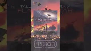 PRE-ORDER/SAVE NOW‼️ TALLA 2XLC & PARA X - Flaming Star 🌌