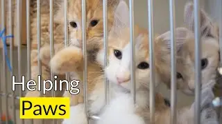 Этого бы не произошло без ВАШЕЙ поддержки