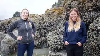 The Intertidal Zone | Raincoast Field School @ home | Half hour lesson