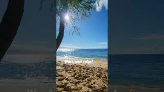 Working at the beach today! Life on Maui!  #shorts