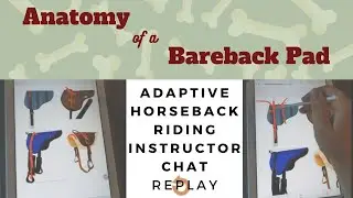 Anatomy of a Bareback Pad- Considerations for Instructors in the EAAT Industry