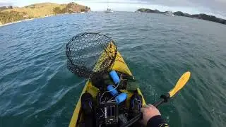 Kayak Fishing Te Kouma, Coromandel