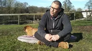Continental Bulldog neu bei uns im Dog Talk am Donnersdog.