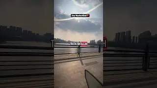 🌟 