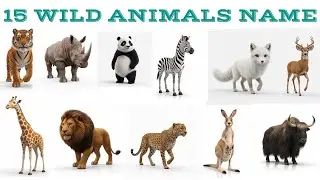 15 wild animals name for kids। जंगली जानवरों के नाम। learn animal names in Hindi and English sound 