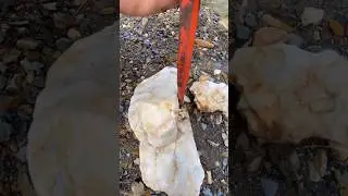 gold stones found near Mount Shasta, USA ⛰️💛 small dig, big surprise