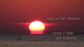 2021, Un Nuovo Sole
