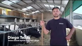 INSIEME - Tezza Italo e Diego