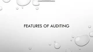 Features of auditing