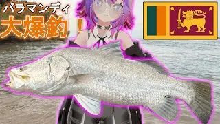 【スリランカ遠征】ネイティブバラマンディが大爆釣！！！宿もガイドも船も飯も無しの限界開拓フィッシング！