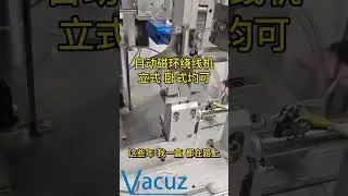 Vacuz Fully Automatic Differential Mode Toroidal Coil Hook Winding Machine For Sale