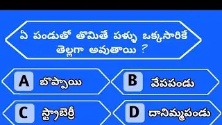 Gk quiz|| #gk #gkquestion #knowledge #learning #education #viral #likes #gkfacts #interstingfacts 