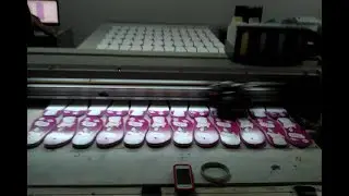 PVC/Rubber/EVA Slipper(Flip Flop) Digital Printing Machine with Mass Production