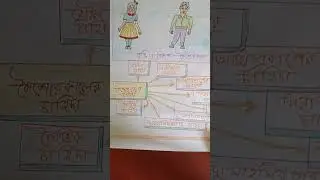 #tlm #b.ed 3rd sem #education method #drawing #art #chart #viralsong #viralreels #viralshort
