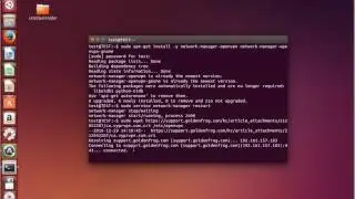 Set up VyprVPN OpenVPN in Linux