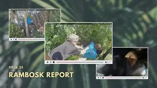HOMICIDE PURSUIT | FENTANYL TRAFFICKING | RETAIL THEFT